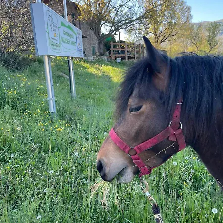Segarati Relax La Maiolica شقة