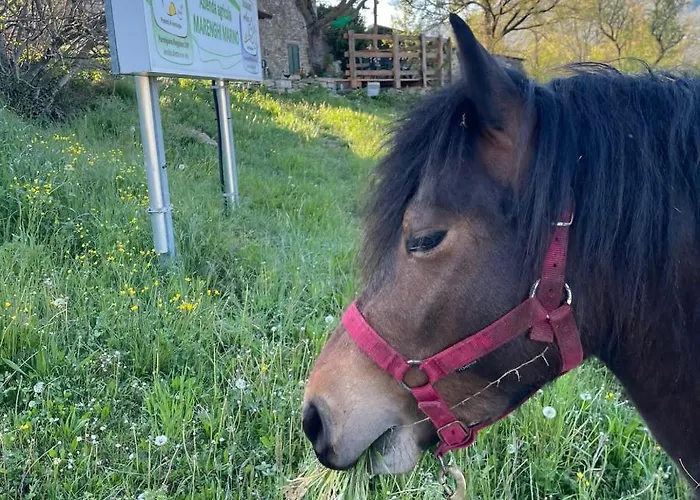 Segarati Relax La Maiolica شقة